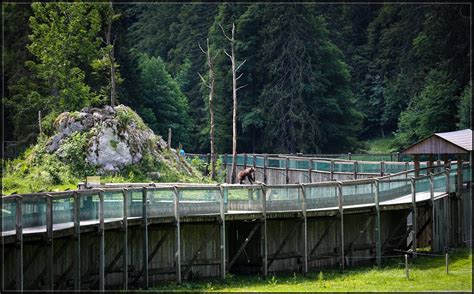 Juraparc