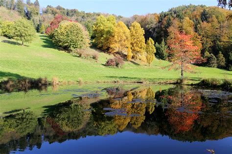 Arboretum