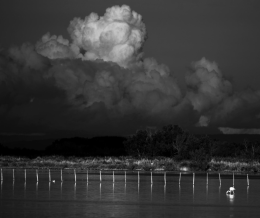Nuage