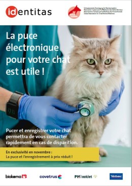 Flyer de la campagne