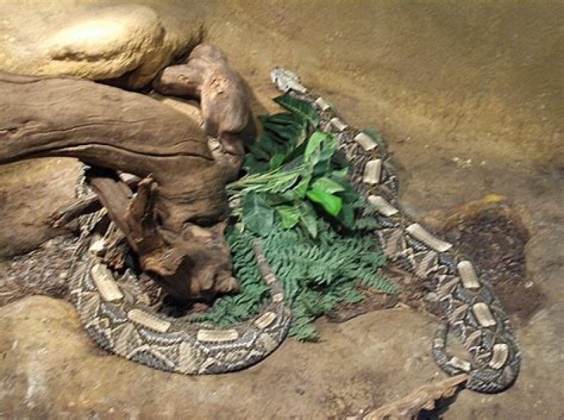 Vivarium Meyrin