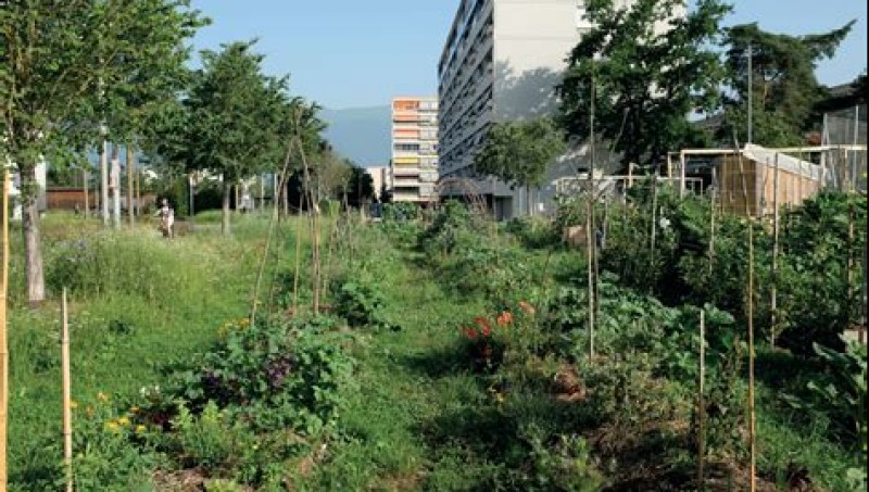 Ville fertile