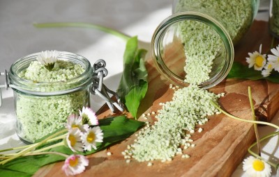 cuisine sauvage