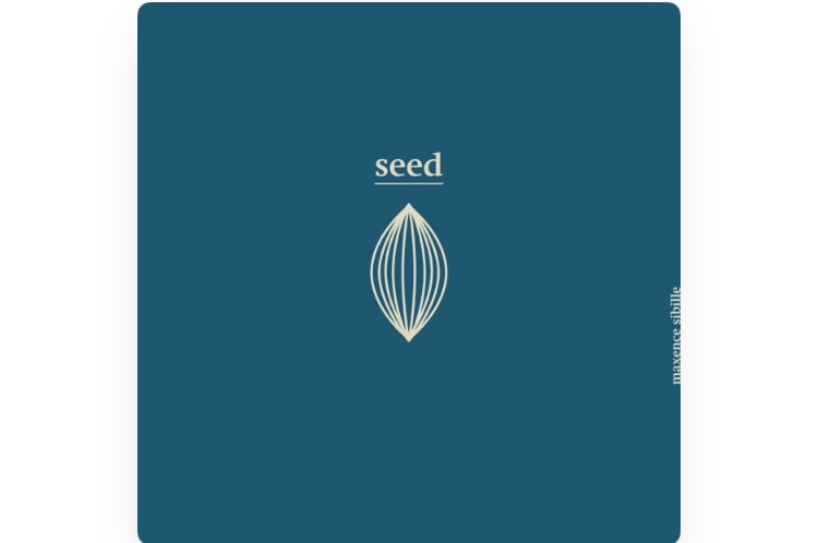 Photo album SEED Photo album SEED