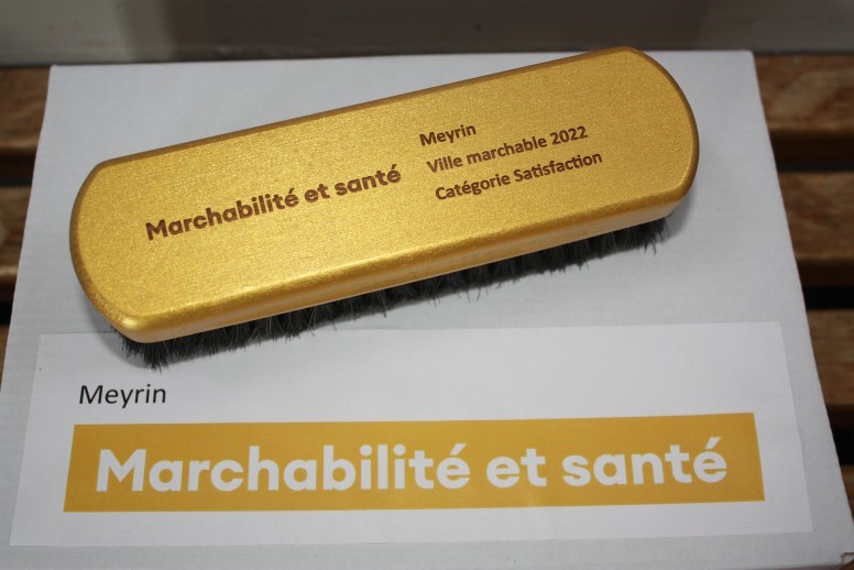 Brosse à chaussure d'or