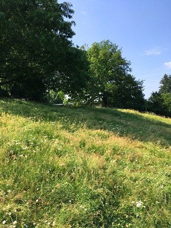 Prairie Ecole de Cointrin