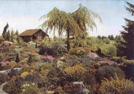 Jardin alpin en 1932_compressé.jpg