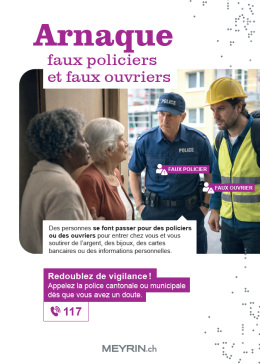 2026-03-30_23_22_06-Arnaque_Faux_Policier_Meyrin_Brandlift_Web.pdf_Adobe_Acrobat_64-bit.png