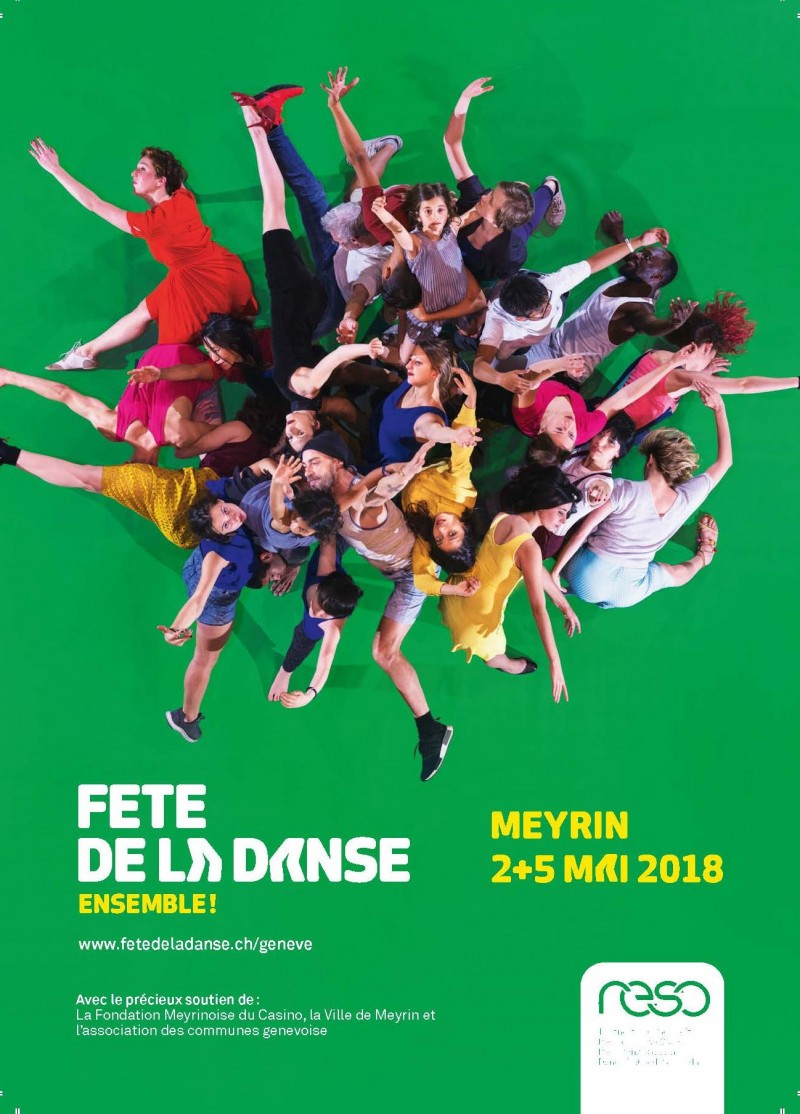 Affiche FDD Meyrin 2018