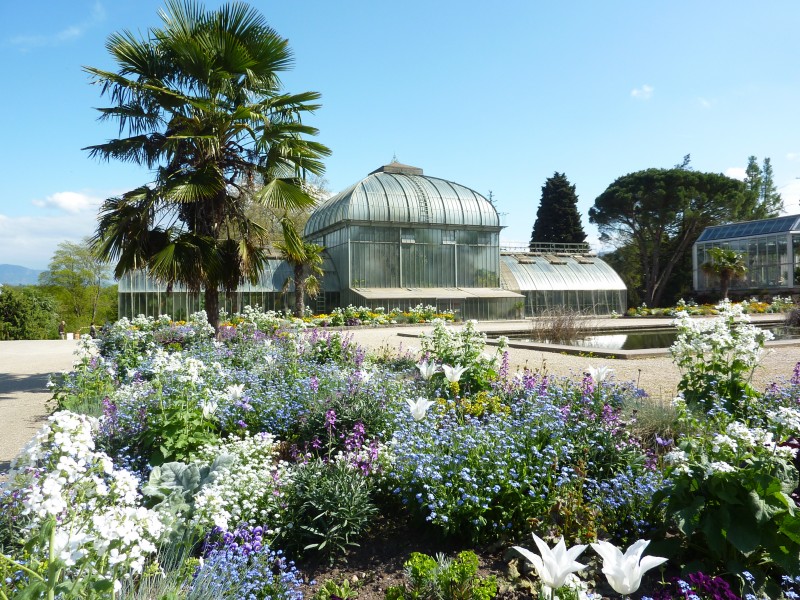 Conservatoire Et Jardin Botaniques De La Ville De Genève