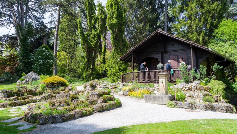 Le Jardin botanique alpin de Meyrin reçoit le Prix Schulthess