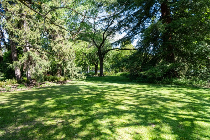 Visite du Jardin botanique alpin