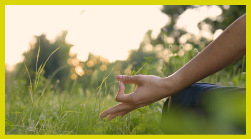 Yoga au Jardin