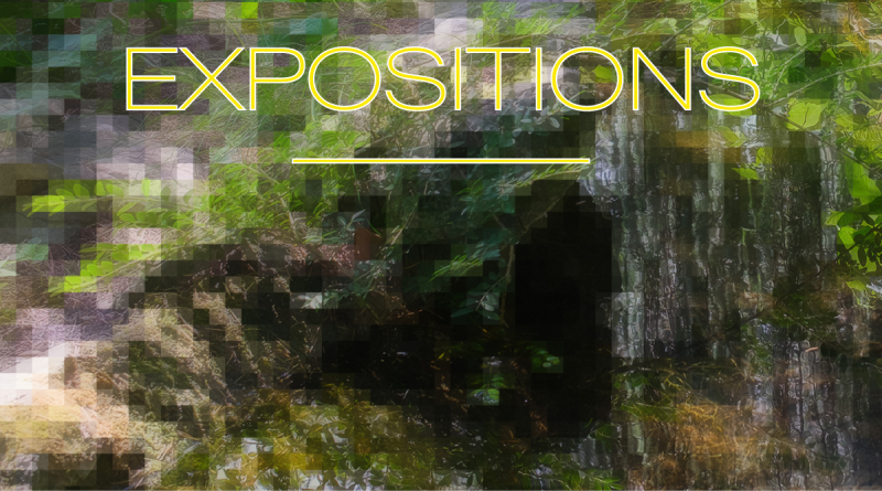 Expositions