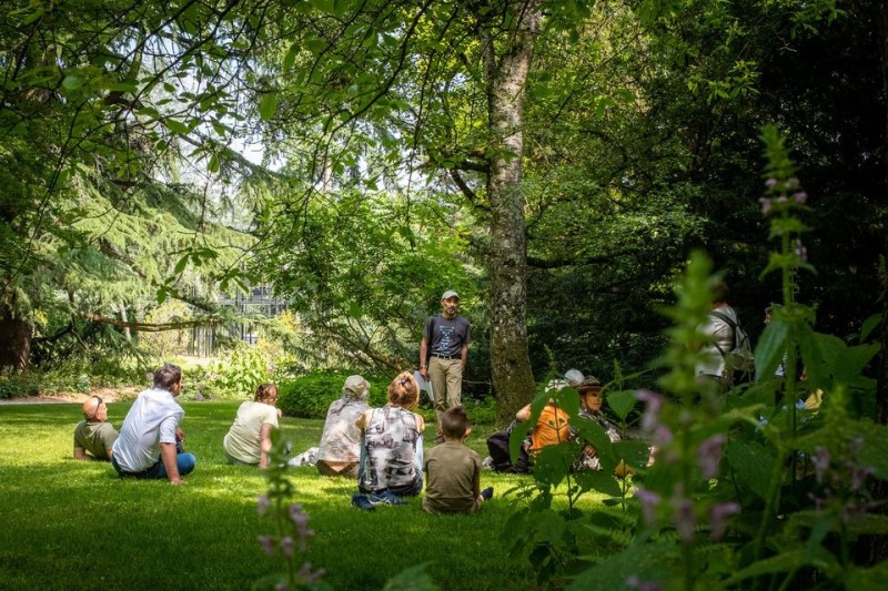 Pharmacie vivante au Jardin botanique alpin: actualité de la recherche sur les plantes médicinales