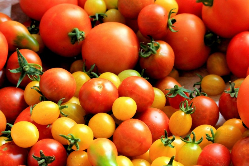 tomates