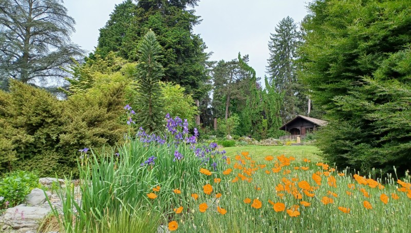chalet du jardin
