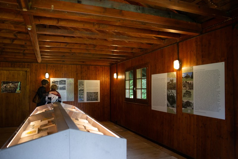 exposition