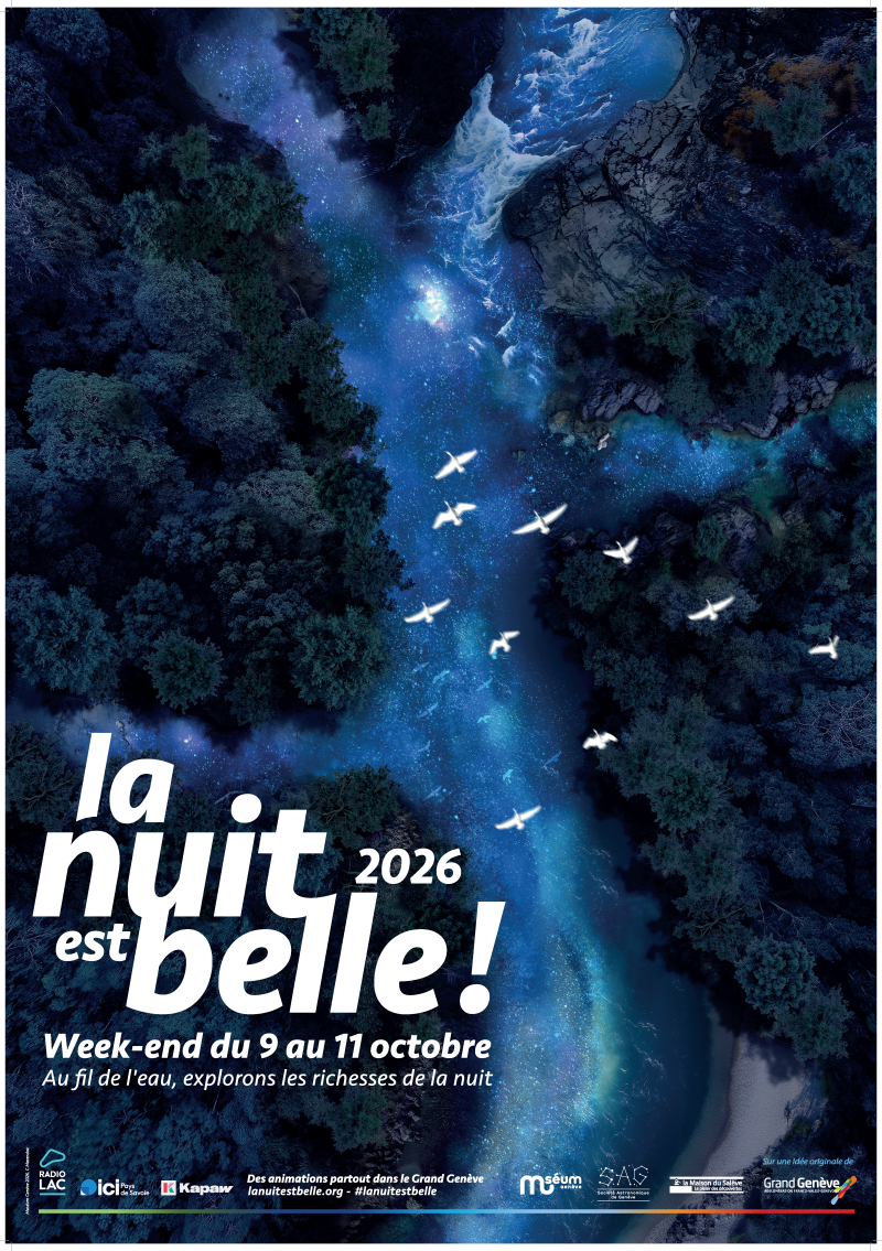 La nuit est belle