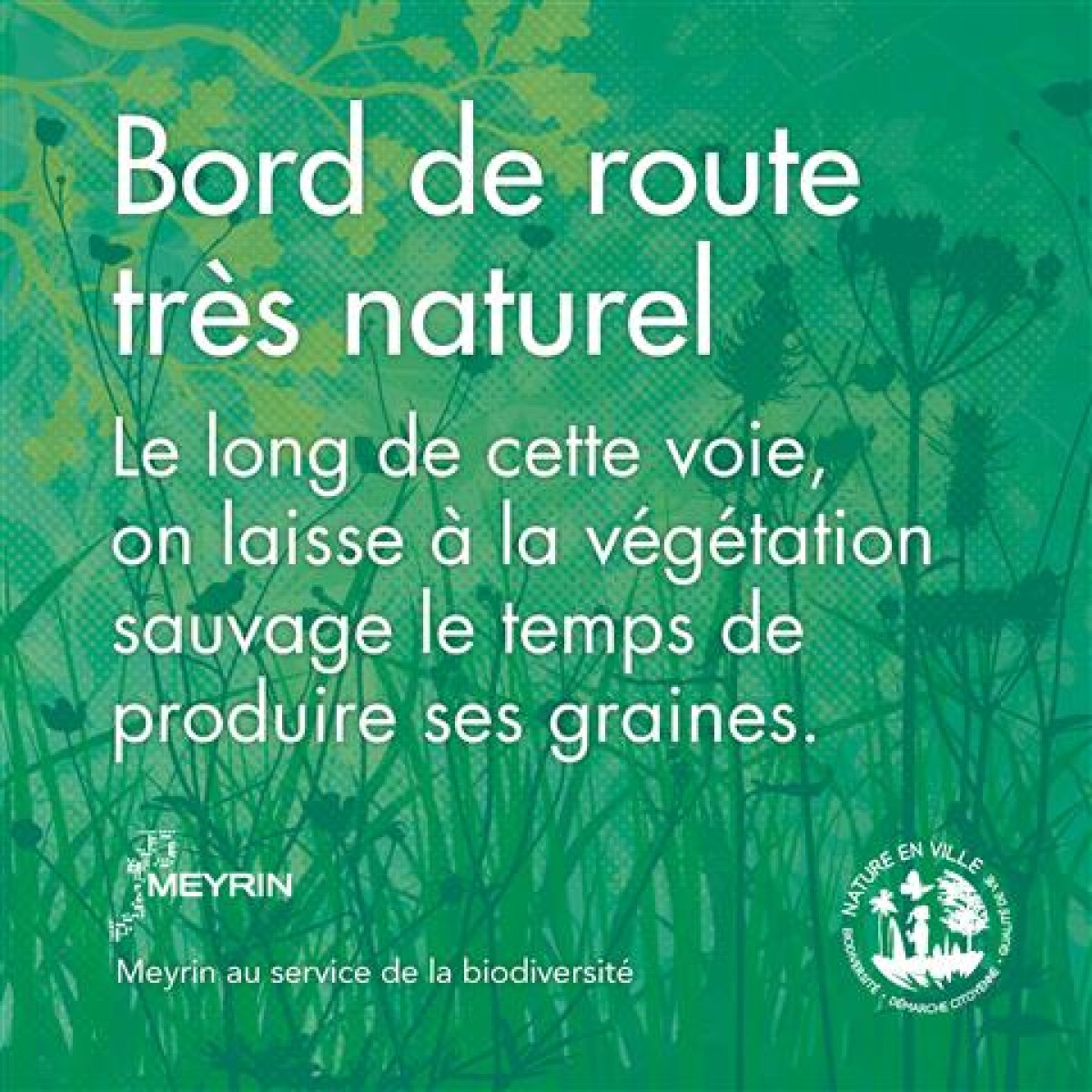 Bord de route naturel