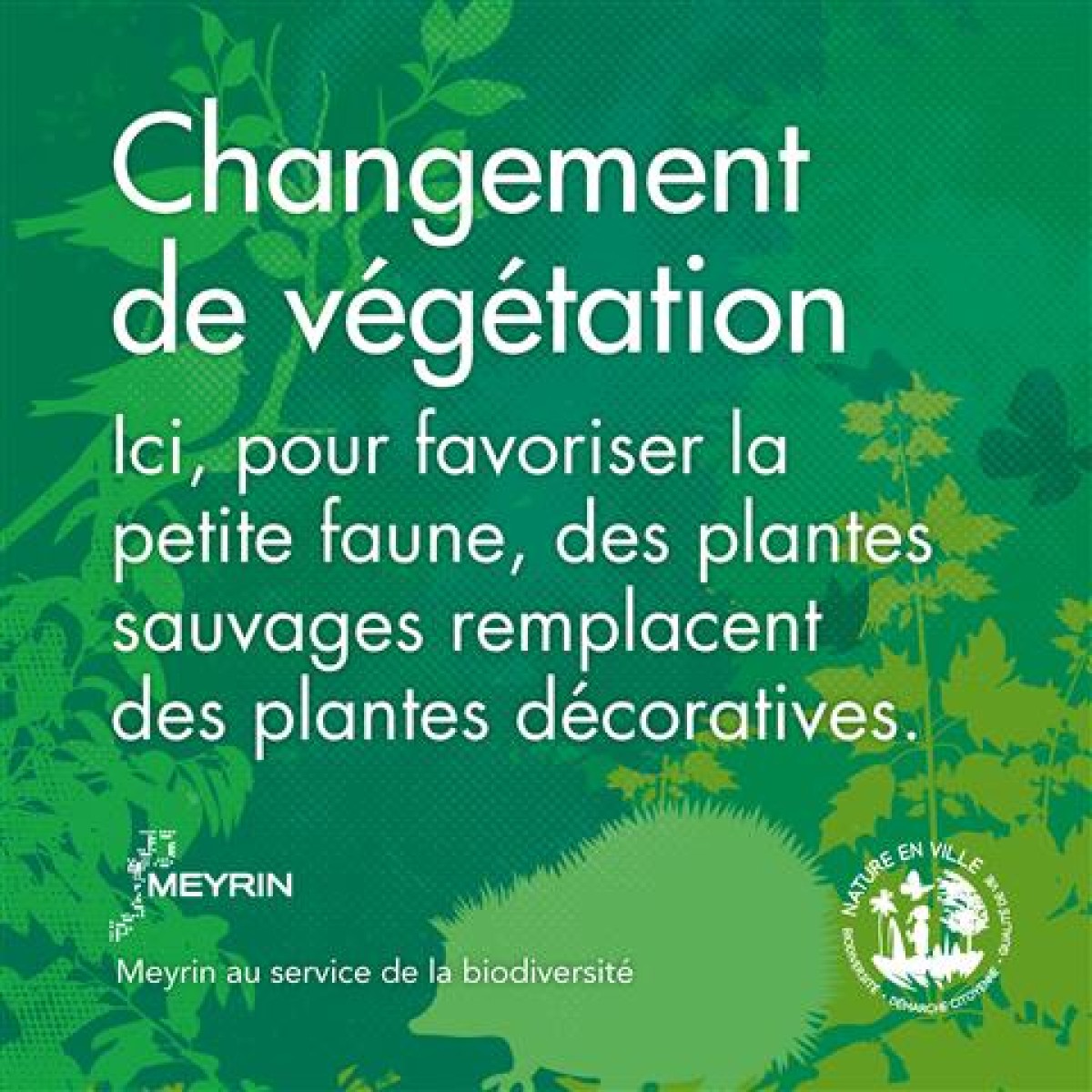 Changement de végétation