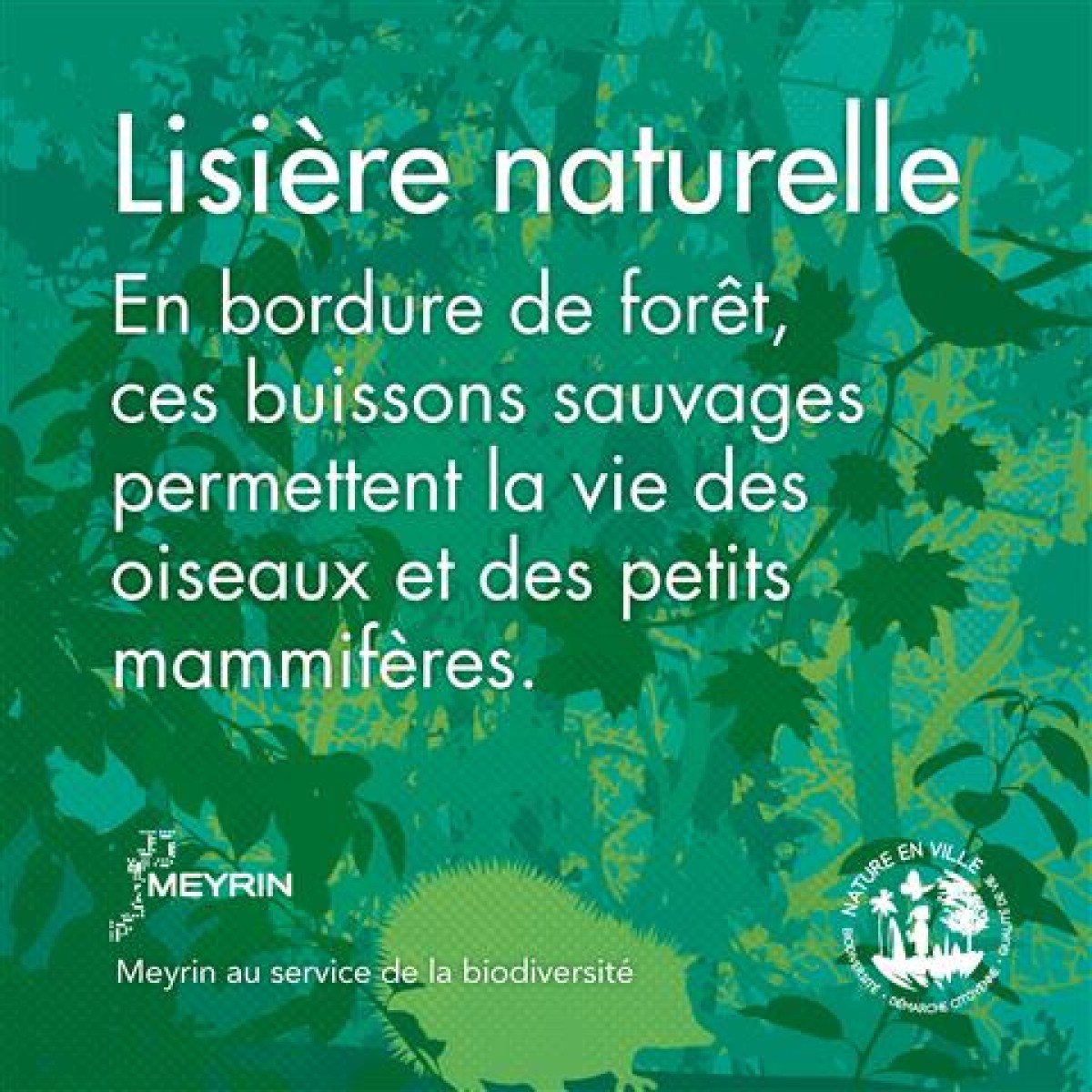 Lisière naturelle