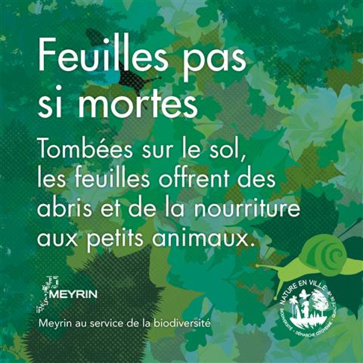 Feuilles pas si mortes