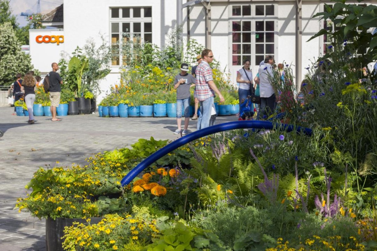 Projet de fleurissement 2014 "Le décélérateur de piétons" pour les 60 ans du CERN