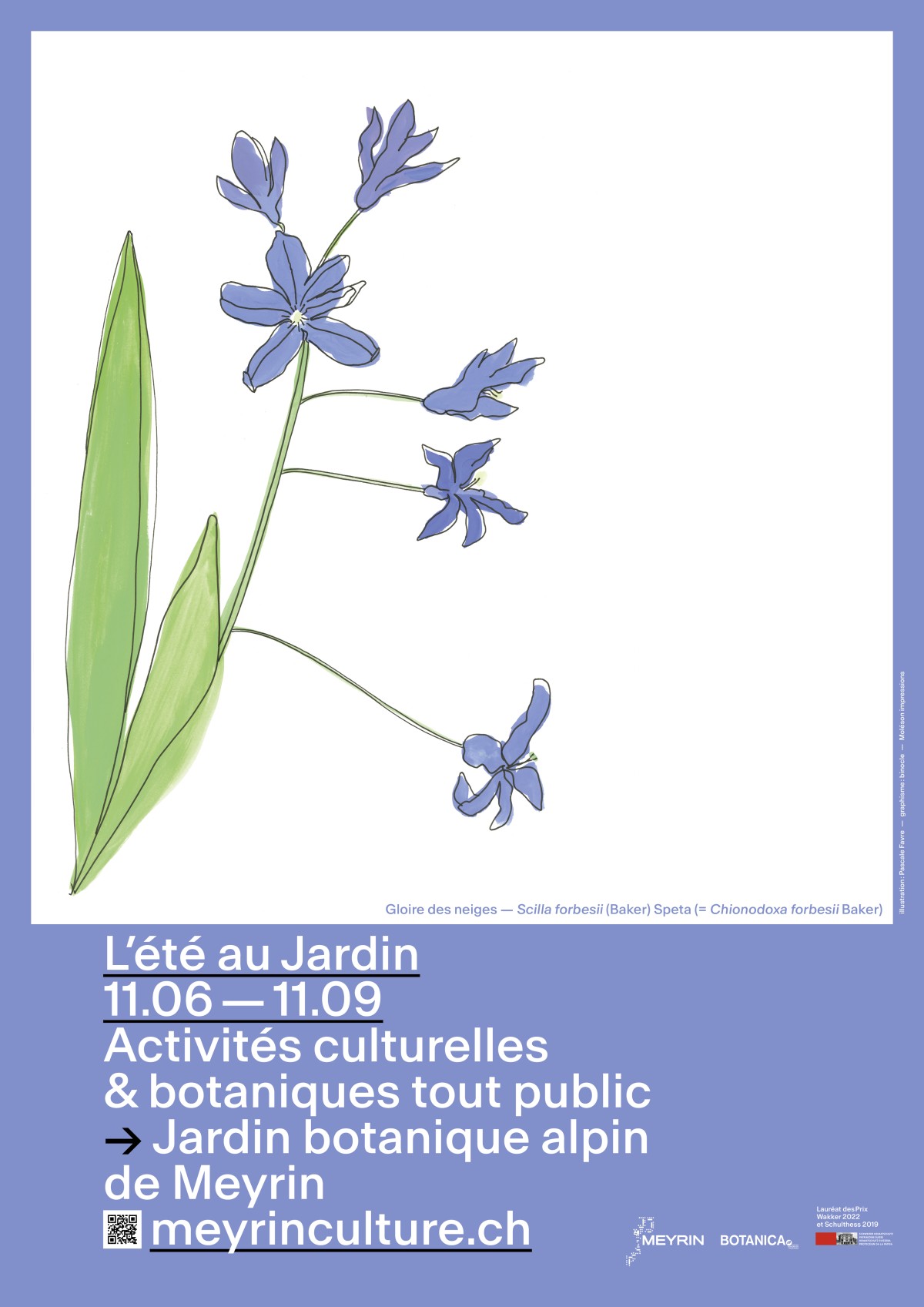 Affiche L'été au Jardin (c) Binocle