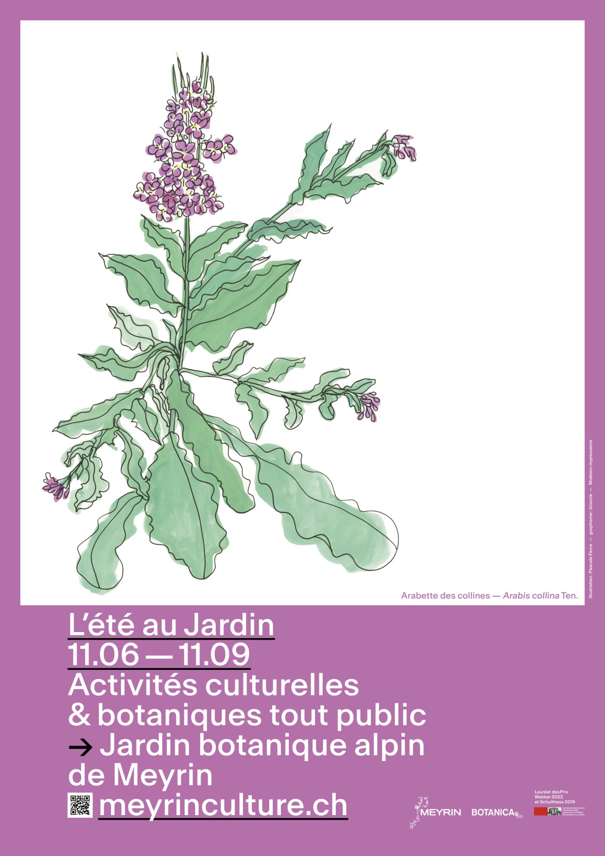 Affiche L'été au Jardin (c) Binocle