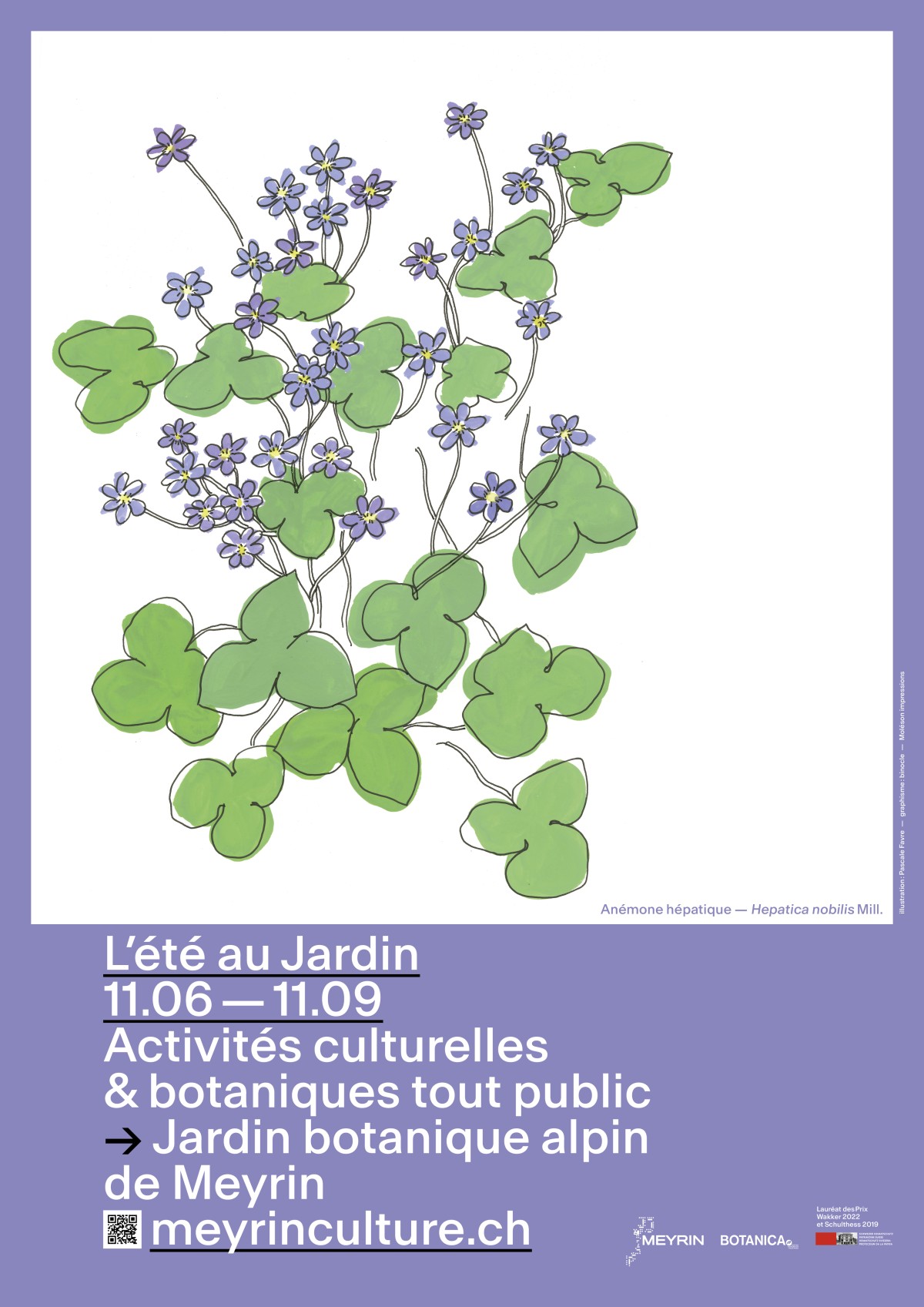 Affiche L'été au Jardin (c) Binocle