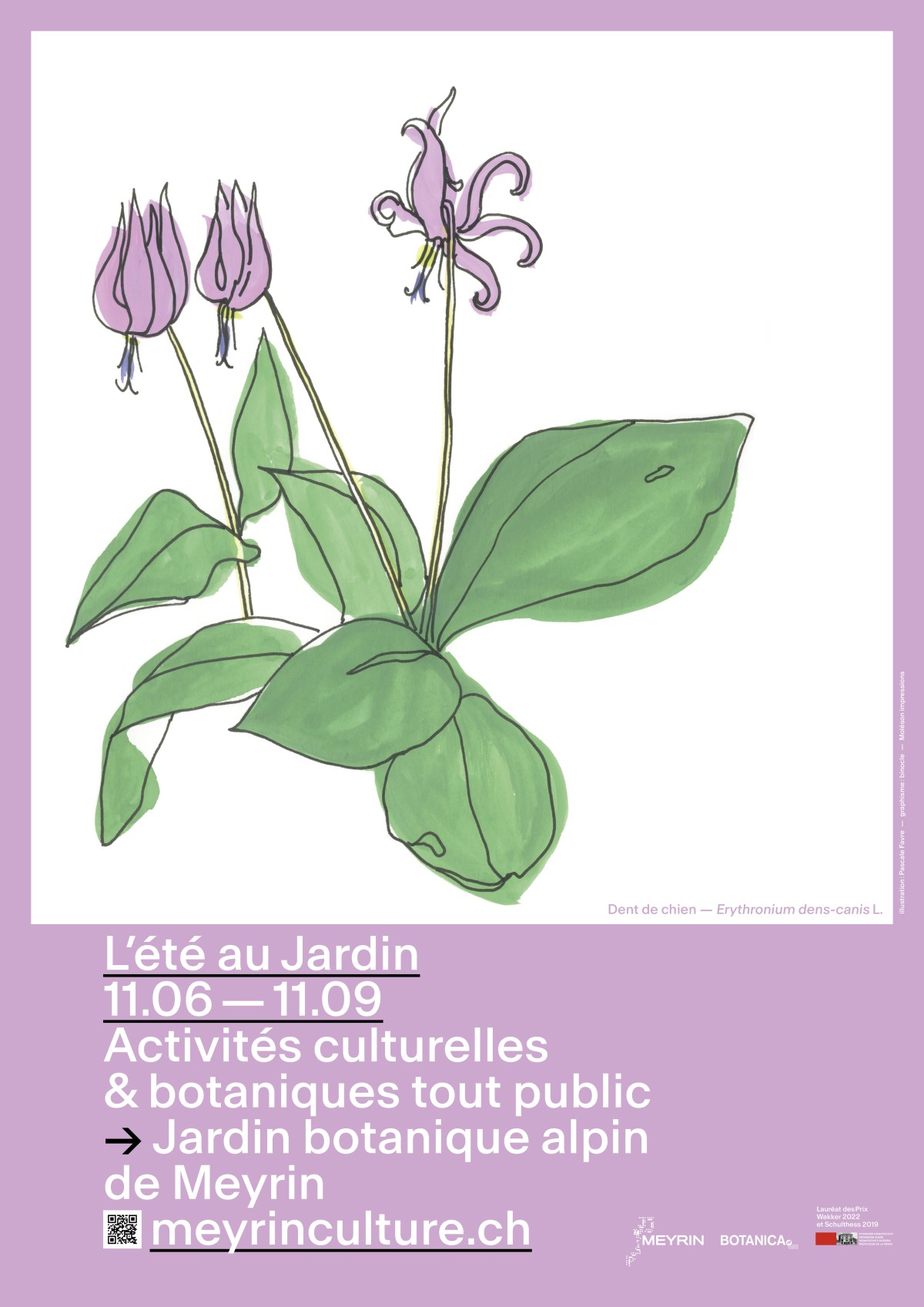 Affiche L'été au Jardin (c) Binocle