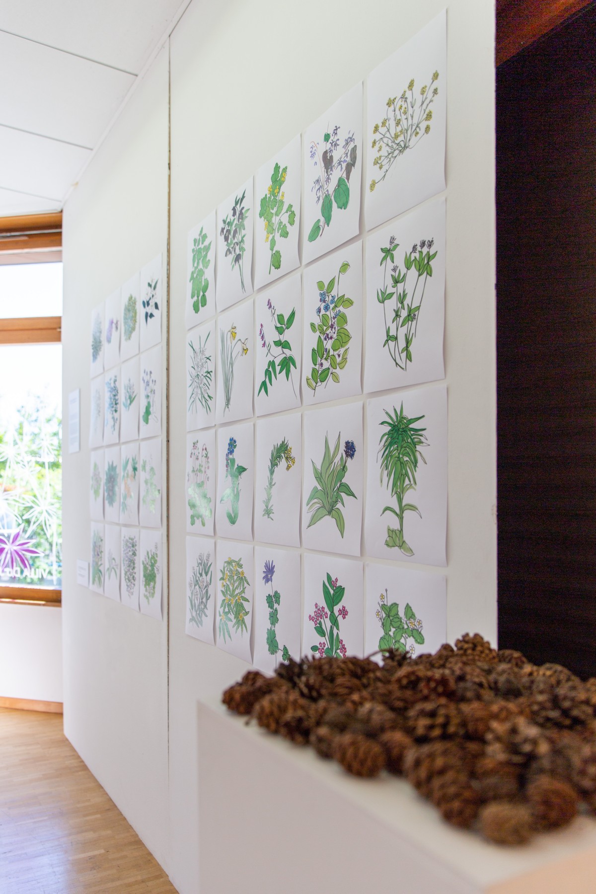 Exposition Pascale Favre (c) Daisy Kim Tieu