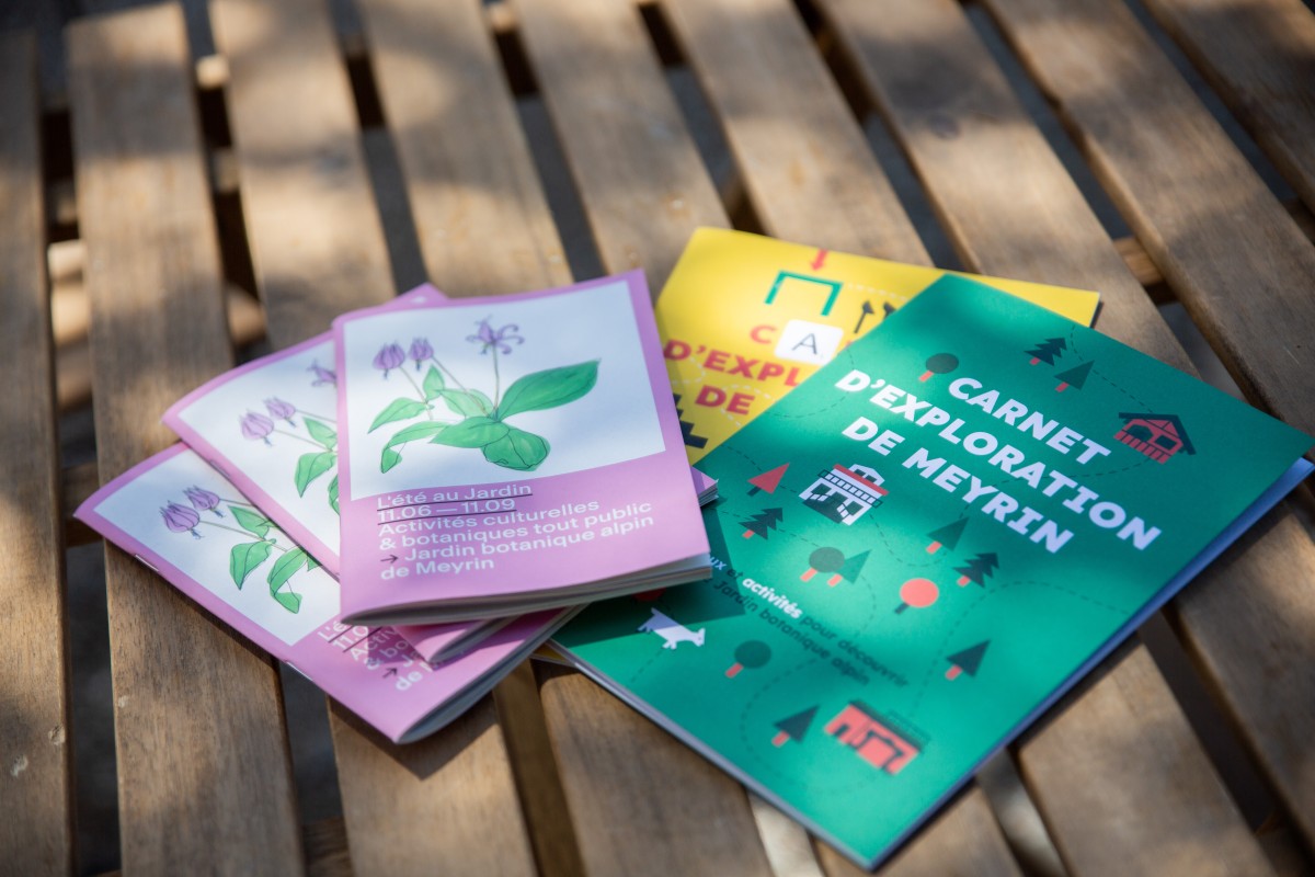 L'été au Jardin (c) Daisy Kim Tieu