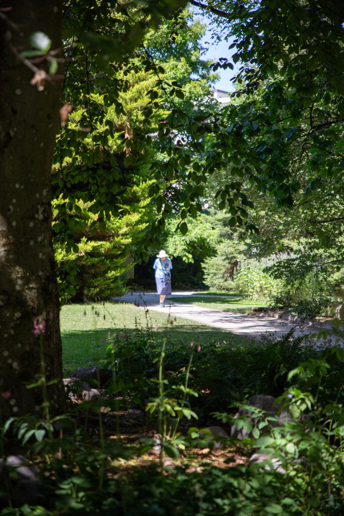 L'été au Jardin (c) Daisy Kim Tieu
