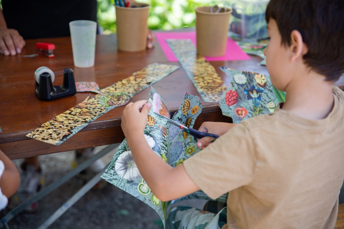 L'été au Jardin (c) Daisy Kim Tieu