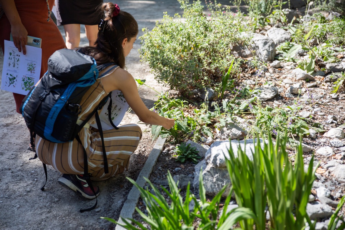 L'été au Jardin (c) Daisy Kim Tieu