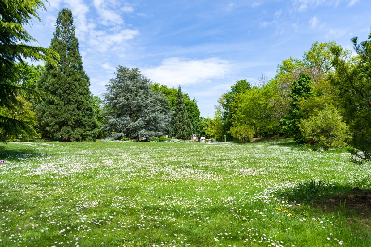 Jardin botanique alpin de Meyrin