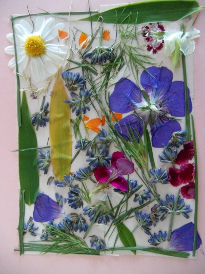 herbier