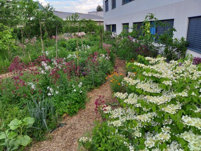 Jardin nourricier (photo de Maurice MARCHESI)