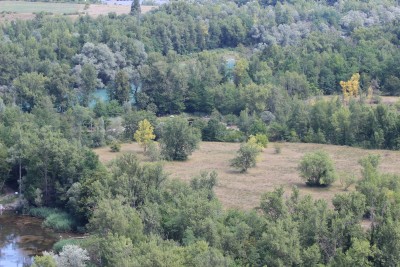 Moulin de vert (photo d'Alison LACROIX)