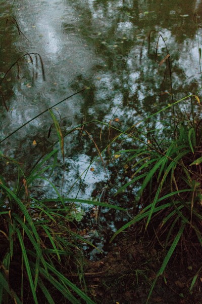 Etang